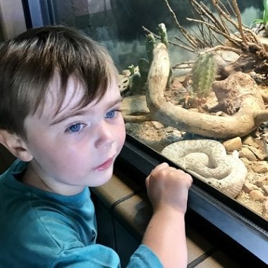 socal zoos